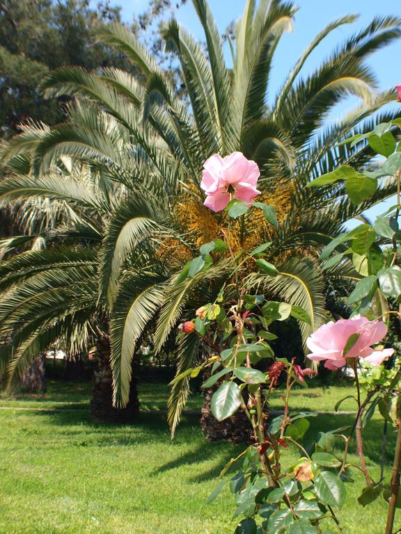 Laios Hotel (Adults Only) Limenas  Esterno foto